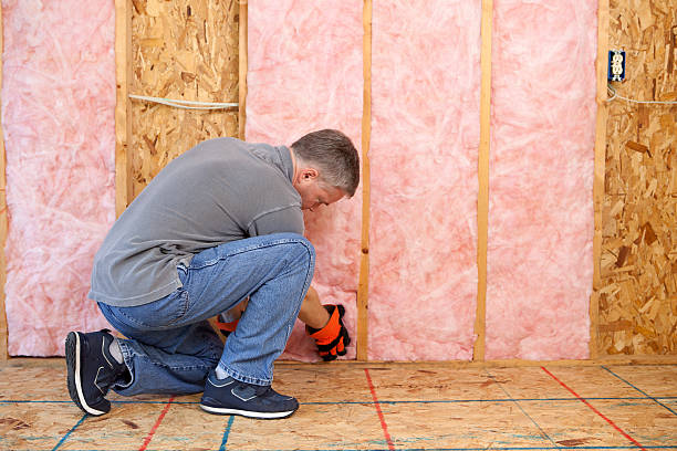 Best Basement Insulation  in Paducah, KY