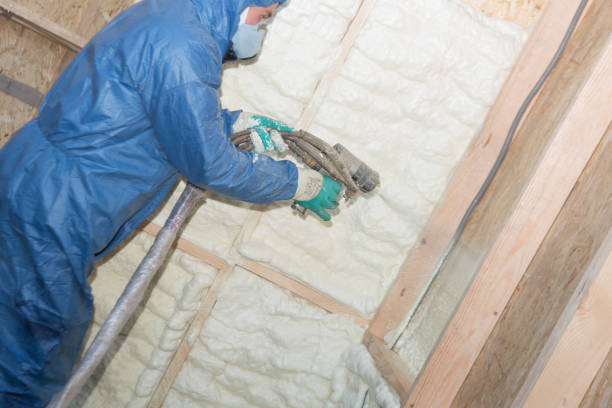 Eco-Friendly or Green Insulation Solutions in Paducah, KY